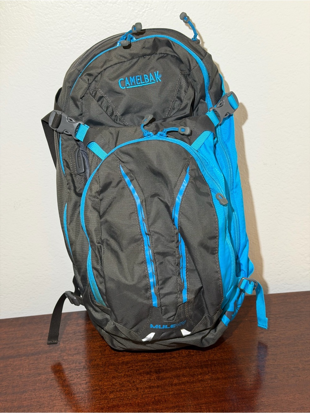 CamelBak M.U.L.E. NV